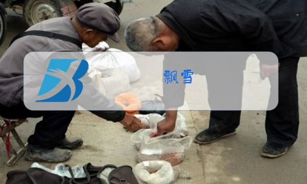 飘雪 中岛美雪原唱图片